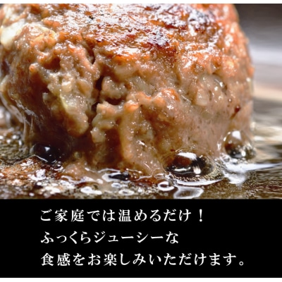 淡路玉ねぎたっぷりハンバーグ(特製ソース付)140g×6個 湯煎調理　ay05804