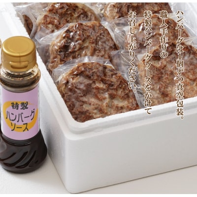 淡路玉ねぎたっぷりハンバーグ(特製ソース付)140g×6個 湯煎調理　ay05804