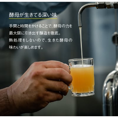 あわぢびーる6本セット《淡路島のクラフトビール》アルト・レッドエール・ヴァイツェン　ay05817
