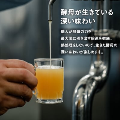 【定期便】あわぢびーる飲み比べ6本セット×12ヶ月《淡路島のクラフトビール》　ay05824