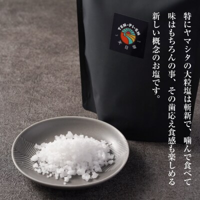 淡路島海塩 TEN-PI-EN 大粒1kg(500g×2袋)　ay09808