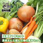 【定期便1年セット】農家さんと選んだ畑の恵みセット　as02017