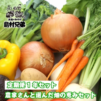 【定期便1年セット】農家さんと選んだ畑の恵みセット　as02017