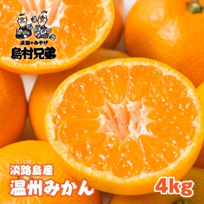 淡路島産　温州みかん　4kg　as02021