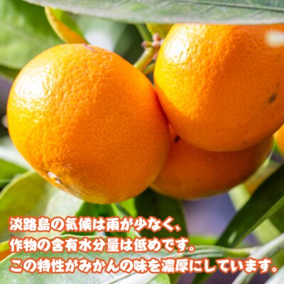 淡路島産　温州みかん　4kg　as02021
