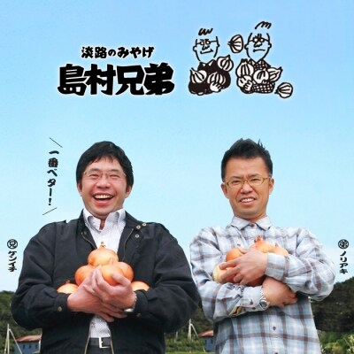 淡路島産　温州みかん　4kg　as02021