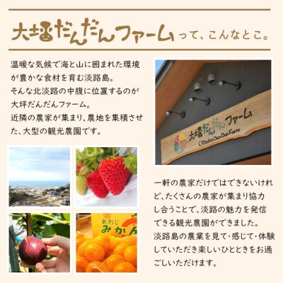 淡路島の温暖な気候で育ったいちご・いちじく・みかんを使った3種のフルーツジャムセット　ao07801