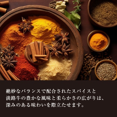 淡路牛100%ビーフカレー 200g×8袋　レトルトカレー　ah14052