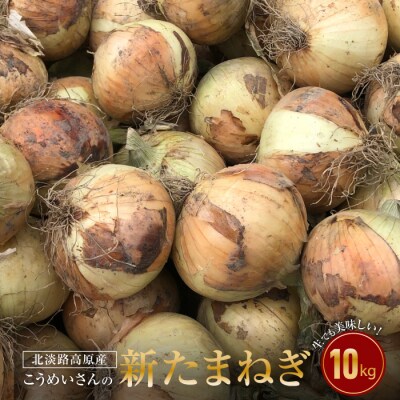 【新たまねぎ】こうめいさんの玉葱10kg【発送時期:4月下旬～6月上旬頃】　ak09008