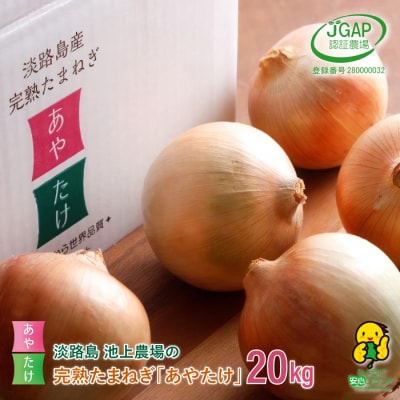 淡路島　池上農場の完熟たまねぎ「あやたけ」20kg　ai03812