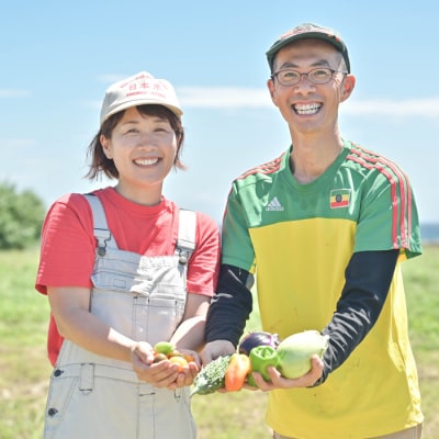 【定期便】ご家庭向けお野菜セット～旬のおまかせBOX～春夏秋冬4回分　aa17803