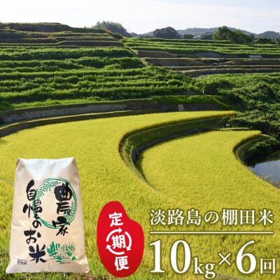【定期便】淡路島の棚田米　10kg×6回　ae01621