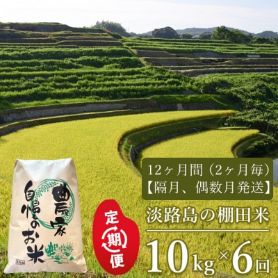【定期便】淡路島の棚田米　10kg×6回(隔月、偶数月発送)　ae01625