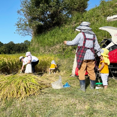 《玄米》淡路島の棚田米 10kg　ae01734