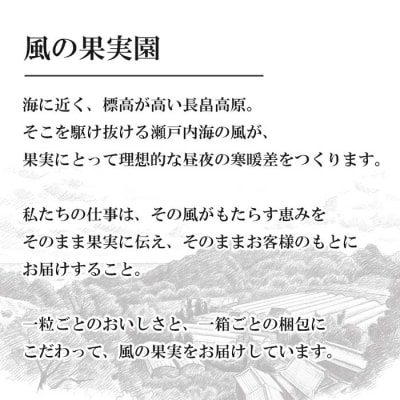 長畠高原苺園　朝採り大粒いちご【1月より順次出荷・お届け日指定不可】　an02004
