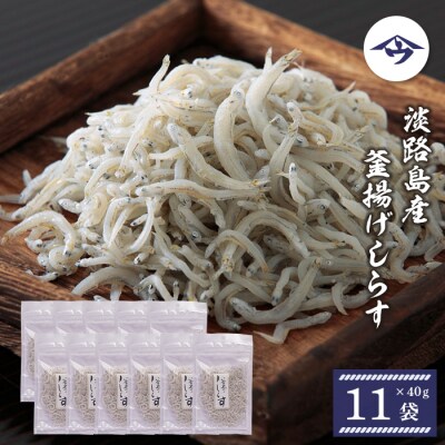 淡路島産 釜揚げしらす 40g×11袋　as21035