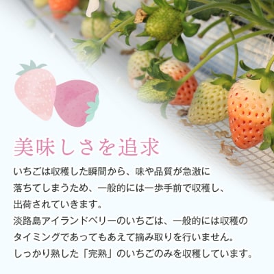 淡路島アイランドベリー　白苺淡雪Mサイズ【2025年4月発送受付・お届け日指定不可】　as14028