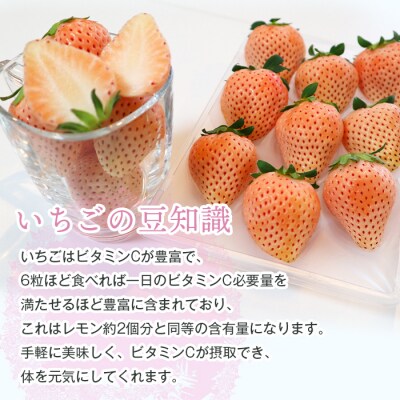 淡路島アイランドベリー　白苺淡雪Mサイズ【2025年4月発送受付・お届け日指定不可】　as14028
