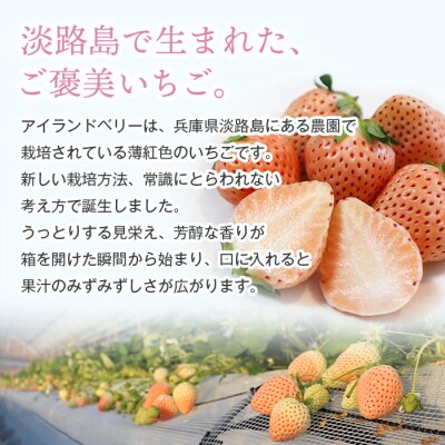 淡路島アイランドベリー　紅白いちご【2025年4月発送予約受付・お届け日指定不可】　as14031
