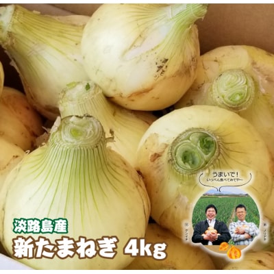 淡路島産　新たまねぎ　4kg【発送時期:2026年3月～5月頃】　as02028