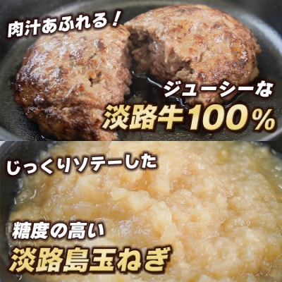 【定期便12ヶ月】淡路島 極味ハンバーグ 150g×12個　ao05872