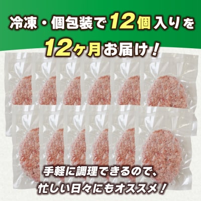 【定期便12ヶ月】淡路島 極味ハンバーグ 150g×12個　ao05872