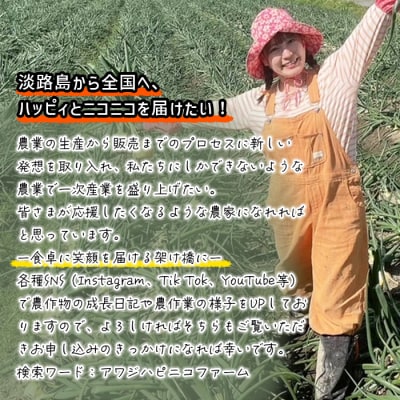 淡路島産ブランド新玉ねぎ 極早生「にじたま」5kgダンボール入(2月中旬～4月頃発送　aa46003