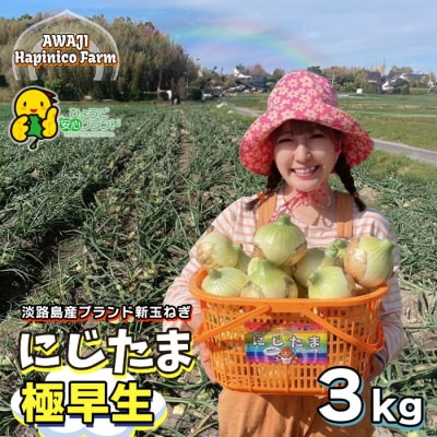 淡路島産ブランド新玉ねぎ 極早生「にじたま」3kgダンボール入(2月中旬～4月頃発送　aa46004