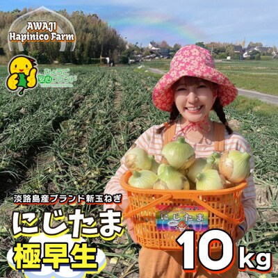 淡路島産ブランド新玉ねぎ極早生「にじたま」10kgダンボール入(2月中旬～4月頃発送　aa46013