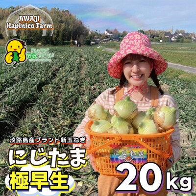 淡路島産ブランド新玉ねぎ極早生「にじたま」20kgダンボール入(2月中旬～4月頃発送　aa46014