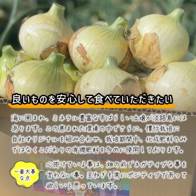 淡路島産ブランド新玉ねぎ極早生「にじたま」20kgダンボール入(2月中旬～4月頃発送　aa46014