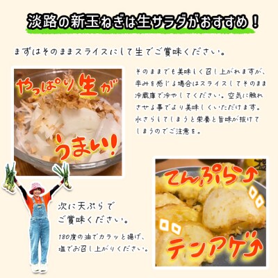 まるでフルーツ?!淡路島産新玉ねぎ極早生 「にじたま」20kg(2月中旬～4月頃発送　aa46006