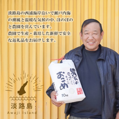 【定期便6ヶ月】名手農園の淡路島産ヒノヒカリ 10kg　an03044