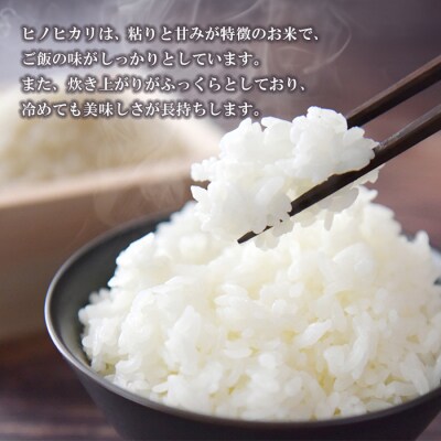 【定期便6ヶ月】名手農園の淡路島産ヒノヒカリ 10kg　an03044