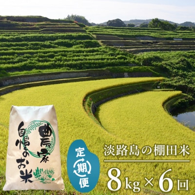 【定期便】淡路島の棚田米 8kg×6回(毎月発送)　ae01736