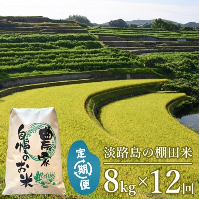 【定期便】淡路島の棚田米 8kg×12回(毎月発送)　ae01737
