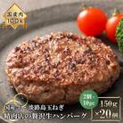 淡路島玉ねぎと国産牛の生ハンバーグ150g×20個　at04792