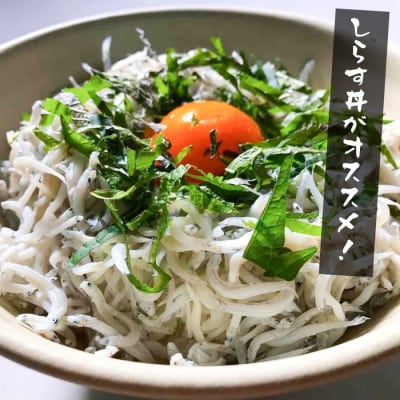 【訳あり】淡路島・藤本水産 しらす釜揚げ 業務用サイズ1kg入り　ah08806