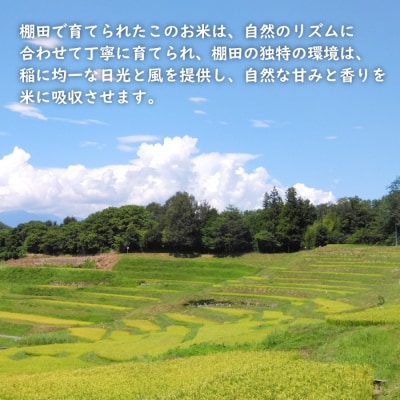 健幸農園の棚田米 5kg 【2025年産】　ak29008