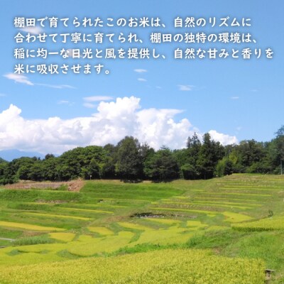 健幸農園の棚田米 5kg 【2025年産】　ak29018