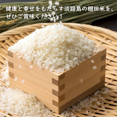 健幸農園の棚田米 10kg 【2025年産新米】　ak29009