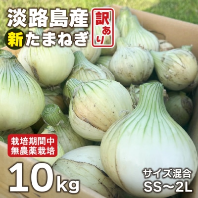 淡路島産 新玉ねぎ 10kg【栽培期間中、無農薬栽培】【訳あり】サイズ混合SS～2L　at18009