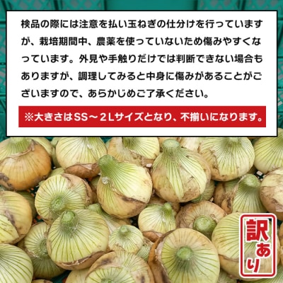 淡路島産 新玉ねぎ 10kg【栽培期間中、無農薬栽培】【訳あり】サイズ混合SS～2L　at18009