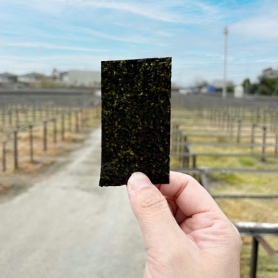 淡路島産 一番摘み海苔 4種セット　ah08007