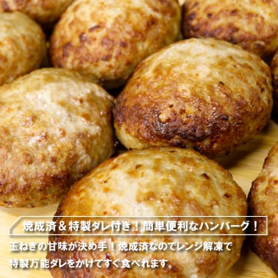 (焼調理済)精肉店のハンバーグ120g×10個　ag05011