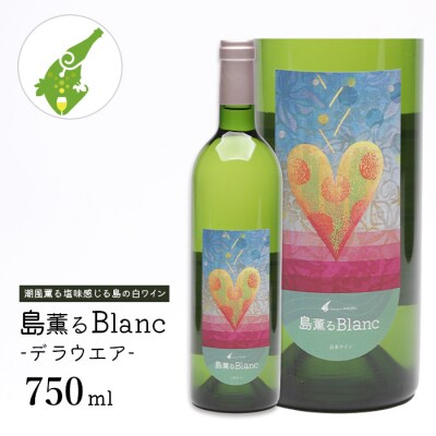 島薫るBlanc -デラウエア-　白ワイン　ad02001