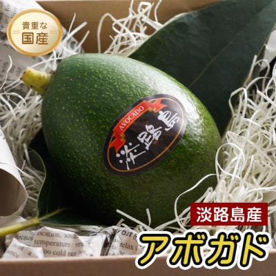 淡路島産 アボカド　ay11001