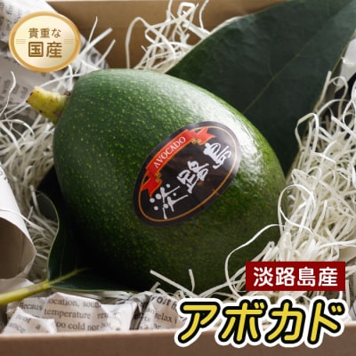 淡路島産 アボカド　ay11002