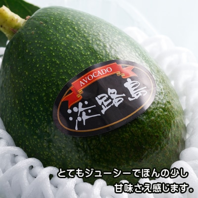 淡路島産 アボカド　ay11001