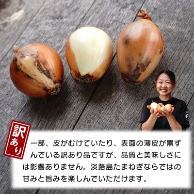 【訳あり】小さな淡路島たまねぎ 2Sサイズ 10kg　ak04823